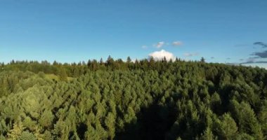 Romanya 'nın güzel kırsal kesiminin manzarası. Güneşli bir öğleden sonra. Dağlardaki harika bahar manzarası. Çimen tarlaları ve yuvarlanan tepeler. kırsal manzara