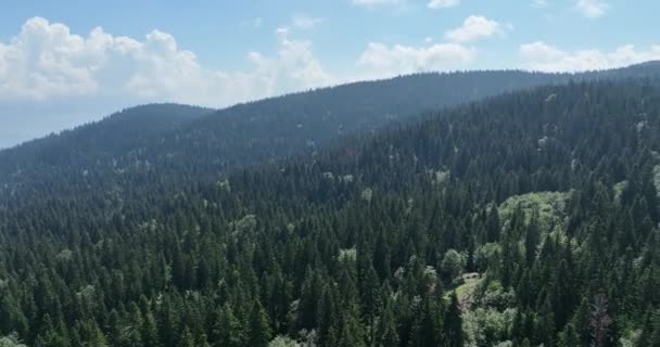 Tempo Chuvoso Nas Montanhas Névoa Enevoada Soprando Sobre Floresta Pinheiros — Vídeo de Stock