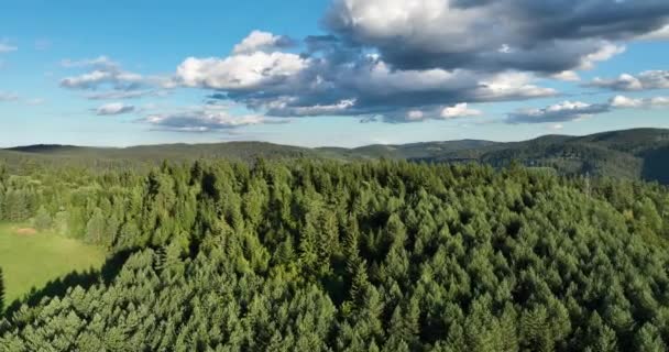 Panorama Der Schönen Landschaft Von Rumänien Sonniger Nachmittag Wunderschöne Frühlingslandschaft — Stockvideo