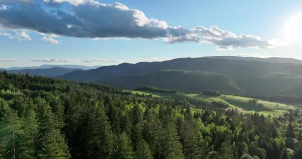 ルーマニアの美しい田舎のパノラマ 晴れた日の午後 山の中の素晴らしい春の風景 草の野と丘陵だ 田園風景 — ストック動画