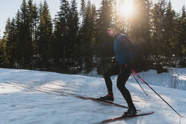 北欧滑雪运动或越野滑雪运动是人类早上在美丽的全景小径上所采用的经典技术 高质量的照片 — 图库照片