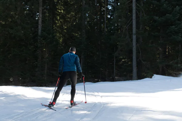 北欧滑雪运动或越野滑雪运动是人类早上在美丽的全景小径上所采用的经典技术 高质量的照片 — 图库照片