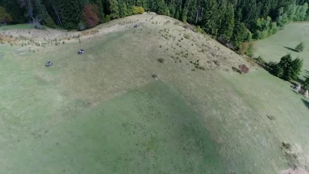 Vista Aérea Drones Quads Atv Uma Trilha Terra Florestas Grupo — Vídeo de Stock