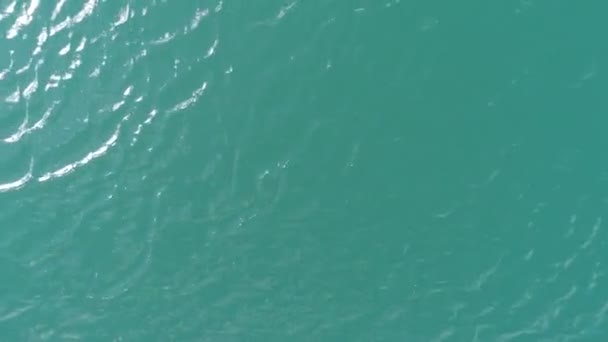 Türkisfarbenes Wasser Einem Bergwaldsee Luftaufnahme Des Blauen Abstrakten Hintergrundes Eröffnungsszenen — Stockvideo