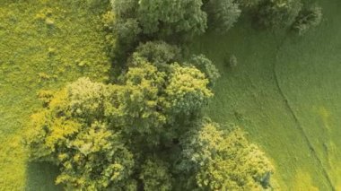 Sonsuz bir dağ ve orman manzarasının sinematik görüntüsü. Gün batımında Dağ 'daki tepelerin üzerinden uçacağız. Merhaba kaliteli 4K görüntüler.