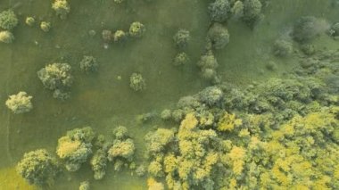 Sonsuz bir dağ ve orman manzarasının sinematik görüntüsü. Gün batımında Dağ 'daki tepelerin üzerinden uçacağız. Merhaba kaliteli 4K görüntüler.