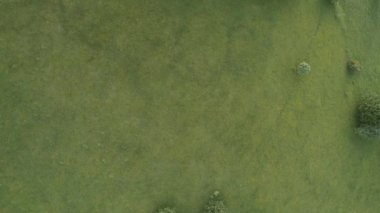 Sonsuz bir dağ ve orman manzarasının sinematik görüntüsü. Gün batımında Dağ 'daki tepelerin üzerinden uçacağız. Merhaba kaliteli 4K görüntüler.