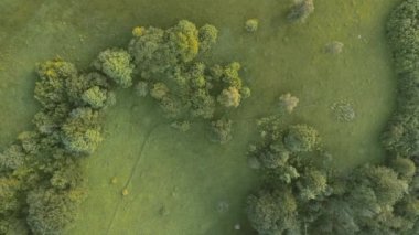 Sonsuz bir dağ ve orman manzarasının sinematik görüntüsü. Gün batımında Dağ 'daki tepelerin üzerinden uçacağız. Merhaba kaliteli 4K görüntüler.