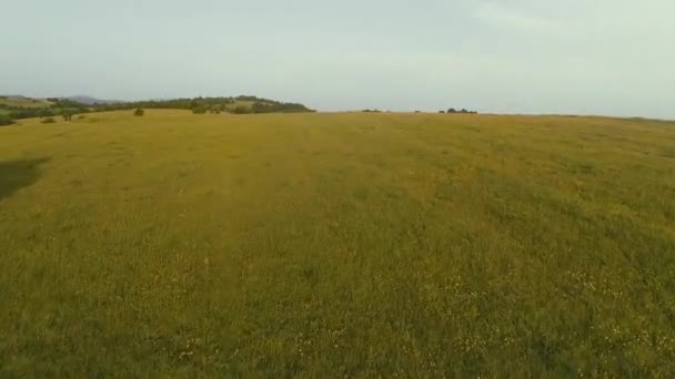 Vue Aérienne Cinématographique Paysage Montagneux Forestier Sans Fin Vol Dessus — Video