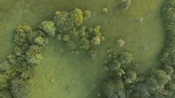Zdjęcia Lotu Ptaka Niekończącego Się Krajobrazu Górskiego Leśnego Lot Nad — Wideo stockowe