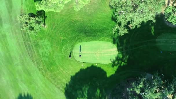 Luchtbeelden Van Mensen Een Golfbaan Die Sportwedstrijd Spelen Filmisch Overzicht — Stockvideo