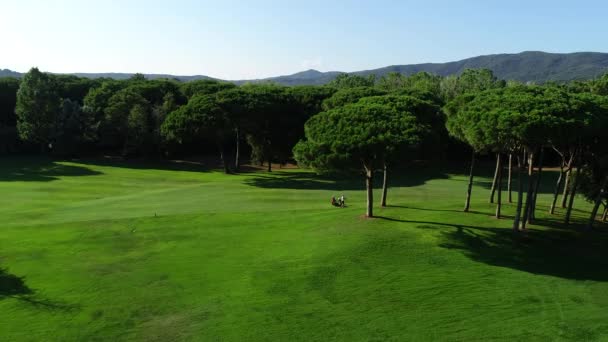 Imagens Aéreas Pessoas Num Campo Golfe Jogar Jogo Desportivo Vista — Vídeo de Stock