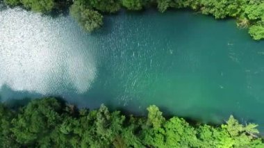 Yeşil ormanda güzel bir şelale, üst manzara. Nehir kanyonda, insansız hava aracı Büyük Şelale. Yüksek kalite 4k görüntü