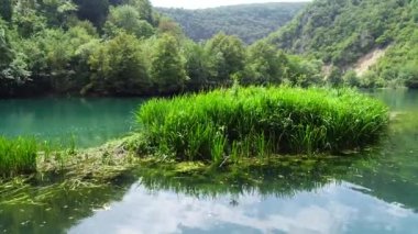 Yeşil ormanda güzel bir şelale, üst manzara. Nehir kanyonda, insansız hava aracı Büyük Şelale. Yüksek kalite 4k görüntü