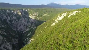 Yeşil ormanda güzel bir şelale, üst manzara. Nehir kanyonda, insansız hava aracı Büyük Şelale. Yüksek kalite 4k görüntü