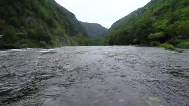 Cachoeira Bonita Floresta Verde Vista Superior Rio Desfiladeiro Drone Aéreo — Vídeo de Stock