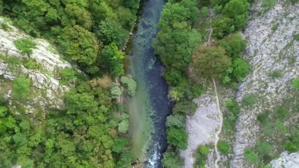 緑の森の中の美しい滝 トップビュー 空中ドローンビッグ滝の川 高品質4K映像 — ストック動画