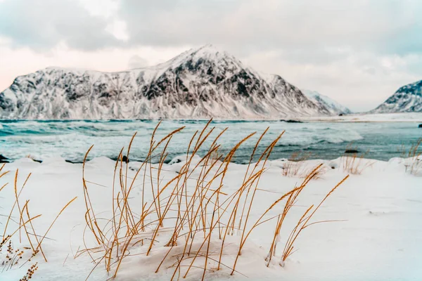 Costa Della Norvegia Inverno Con Neve Brutto Tempo Nuvoloso Foto — Foto Stock