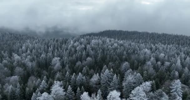 スキー場の美しい冬の日に新雪で覆われた山の峰 — ストック動画