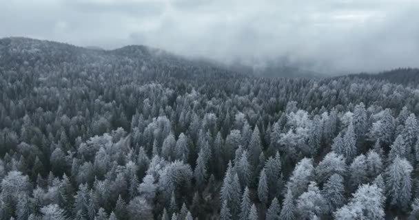 리조트의 아름다운 눈덮인 산봉우리들 — 비디오