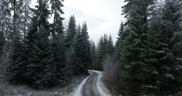 Vista Aérea Del Paisaje Invernal Del Bosque Nevado Del Norte — Vídeos de Stock