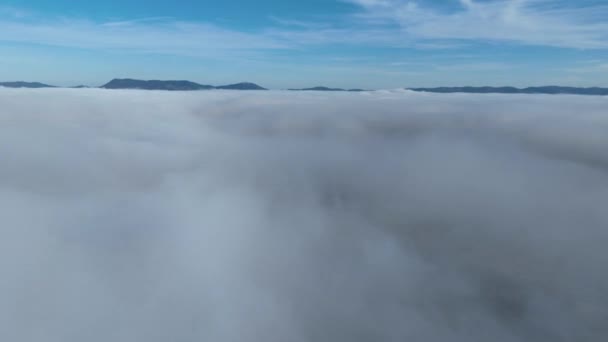日の出の間に雲の上を飛行します 雲の中を飛ぶ 新鮮な朝と素晴らしい太陽の光が雲の上にあります 高品質4K映像 — ストック動画
