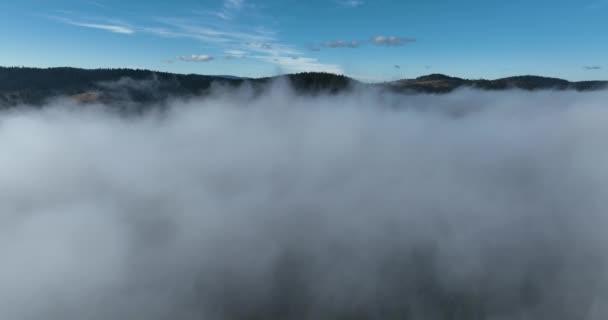 Drohnenflug Über Den Wolken Bei Sonnenaufgang Fliege Durch Die Wolken — Stockvideo