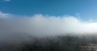 Güneş doğarken bulutların üzerinde İHA uçuşu. Bulutların arasından uç. Taze bir sabah ve bulutların üzerinde inanılmaz güneş ışınları. Yüksek kalite 4k görüntü