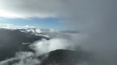 Kuzey karlı orman kış manzarası, kar yağışı ve ilk taze kar kaplı orman, tepeden aşağı manzara. Yüksek kalite 4k görüntü