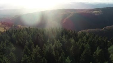 Cinematic Aerial flight over the hill with forest and tree tops with a beautiful sunset in the background. High quality 4k footage