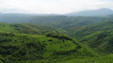 Aerial view of forest at sunrise. Drone shot flying over spruce conifer treetops, nature background footage in 4K resolution. High quality 4k footage
