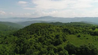 Aerial view of forest at sunrise. Drone shot flying over spruce conifer treetops, nature background footage in 4K resolution. High quality 4k footage