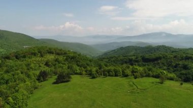 Aerial view of forest at sunrise. Drone shot flying over spruce conifer treetops, nature background footage in 4K resolution. High quality 4k footage