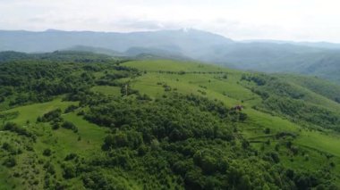 Aerial view of forest at sunrise. Drone shot flying over spruce conifer treetops, nature background footage in 4K resolution. High quality 4k footage
