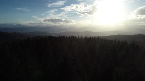 背景に美しい夕日と森や木のトップスと丘の上のシネマティック航空便 高品質4K映像 — ストック動画