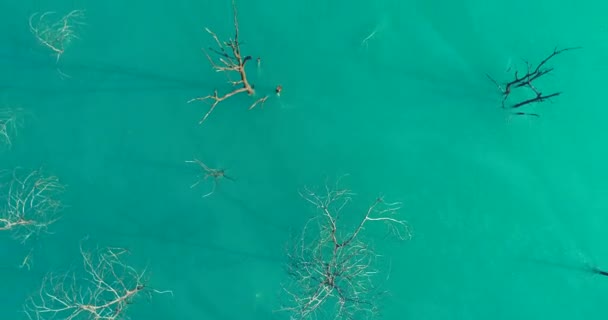 Top Aerial View Natural Texture Abstract Industrial Lake Water Patterns — Wideo stockowe