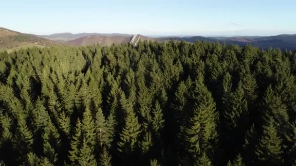 Cinematic Aerial Flight Hill Forest Tree Tops Beautiful Sunset Background — Stock video