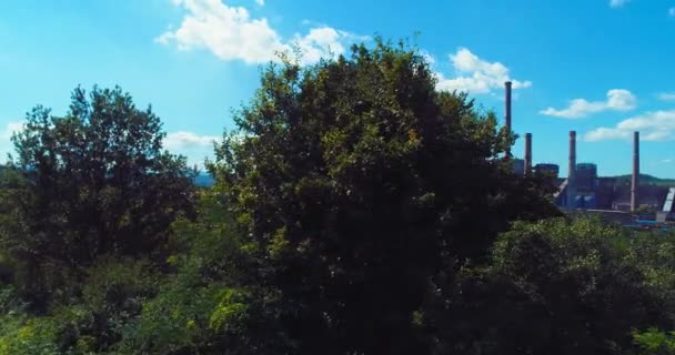 Aerial Drone View Overcrowded Urban Lake Peak Tourist Season Crowd — Stok video