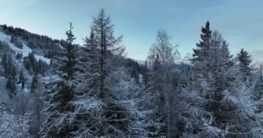 Alps Cold Mountain Snow Tourism Sport Eco Travel Mountains Landscape Drone Aerial Flight Over French Alps Mountain Range Early Morning Inspiring Nature 4k hyper lapse. Hi quality 4K footage. 