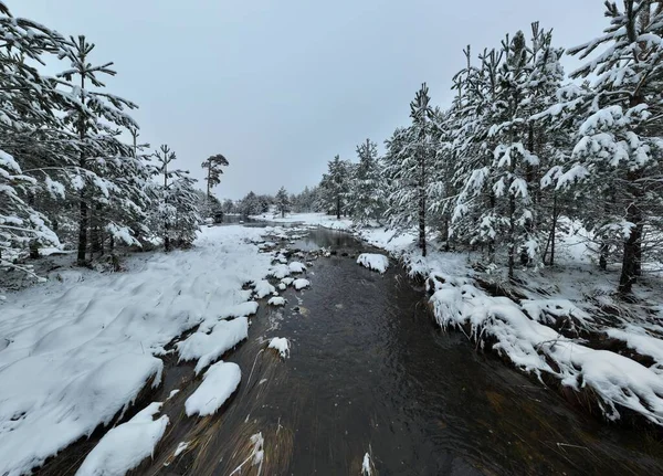 Ilmakuva Jäätyneestä Joesta Joka Virtaa Lumen Peittämien Metsien Läpi Pilvisellä — kuvapankkivalokuva