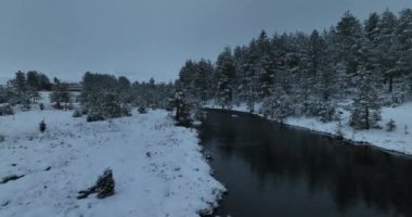 An aerial view of a frozen river flowing through snow-covered forests on a cloudy sunset sky background. Hi quality 4K footage.