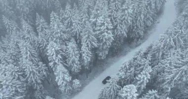 Aerial drone view of the road in idyllic winter landscape nature in a dense forest with fresh snow. Hi quality 4K footage. 