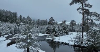 An aerial view of a frozen river flowing through snow-covered forests on a cloudy sunset sky background. Hi quality 4K footage.