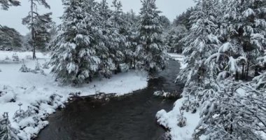 An aerial view of a frozen river flowing through snow-covered forests on a cloudy sunset sky background. Hi quality 4K footage.