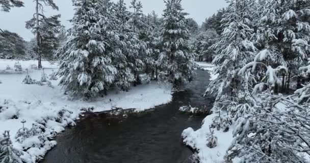 Aerial View Frozen River Flowing Snow Covered Forests Cloudy Sunset — Video