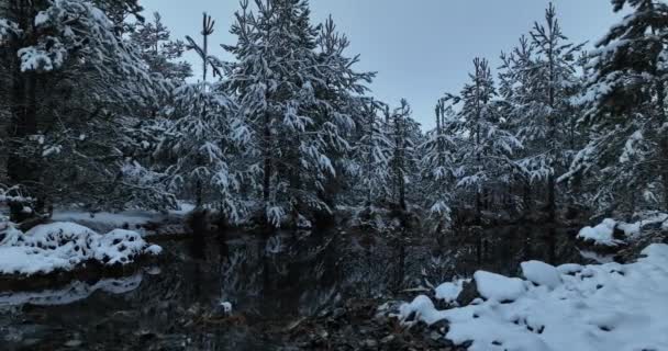 Aerial View Frozen River Flowing Snow Covered Forests Cloudy Sunset — Stock videók