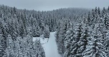 Aerial drone view of the road in idyllic winter landscape nature in a dense forest with fresh snow. Hi quality 4K footage. 