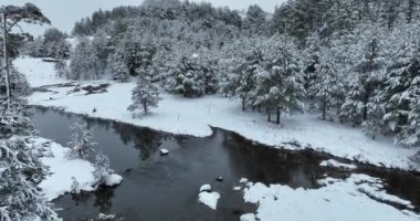 An aerial view of a frozen river flowing through snow-covered forests on a cloudy sunset sky background. Hi quality 4K footage.