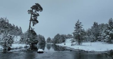 An aerial view of a frozen river flowing through snow-covered forests on a cloudy sunset sky background. Hi quality 4K footage.