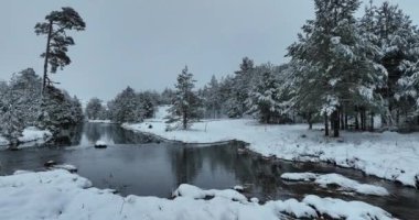 An aerial view of a frozen river flowing through snow-covered forests on a cloudy sunset sky background. Hi quality 4K footage.